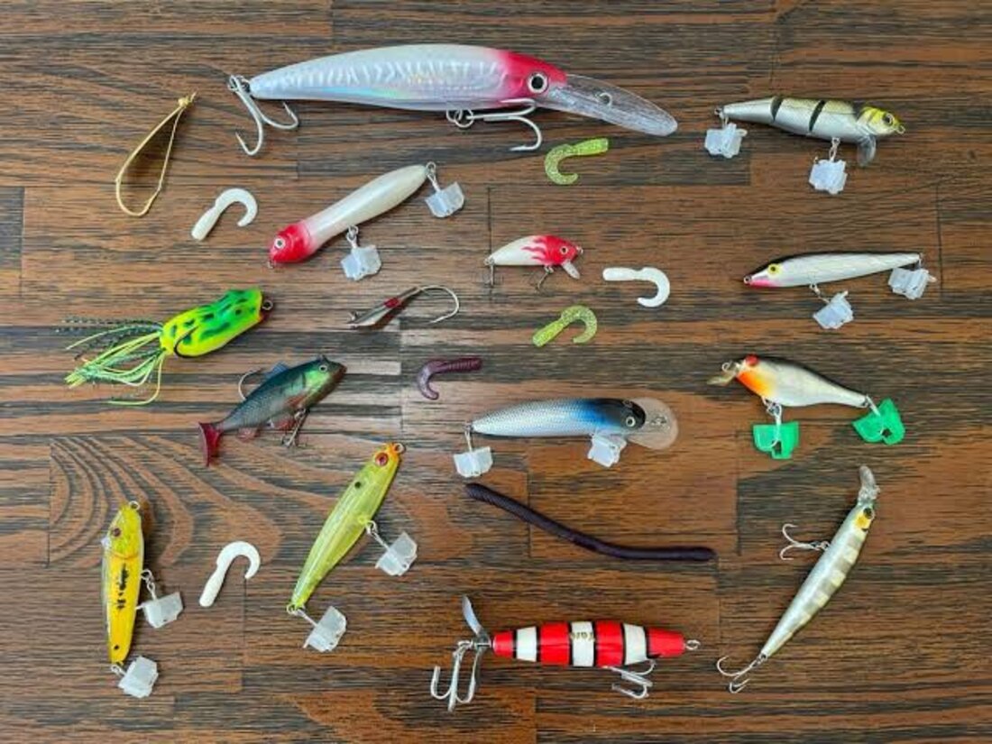 Iscas e equipamentos de pesca organizados sobre a bancada da loja